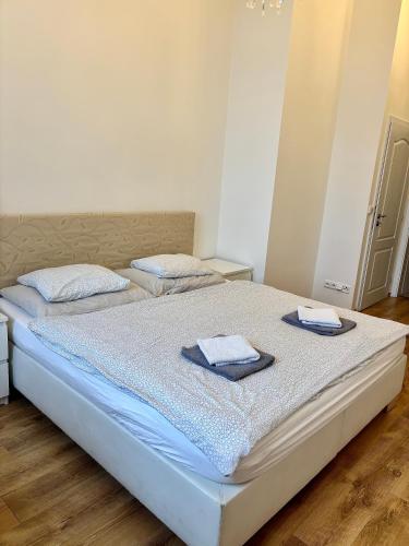 Apartment Belveder Brno