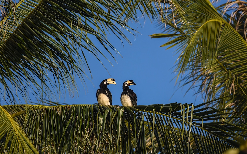 Tinidee Hideaway Tonsai Beach Krabi SHA Extra Plus