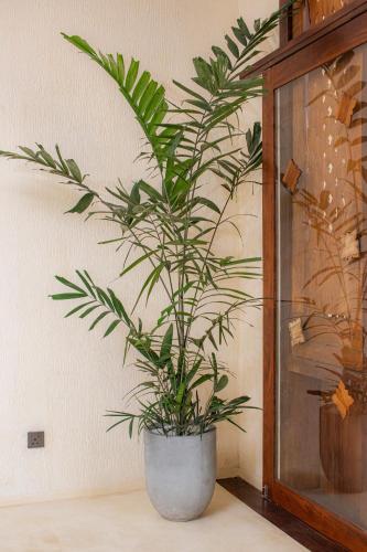 Spicepeek Boutique Hotel CMB Airport