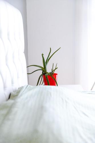 Modern apartment with a view feels like home