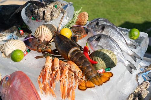 Rixos Al Mairid Ras Al Khaimah