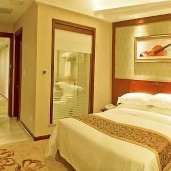 Vienna Classic SH Jinshanwei Railway Station