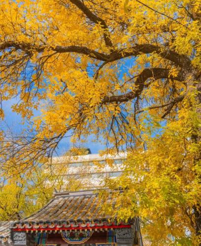 Nostalgia Hotel Beijing Guozijian Ghost Street
